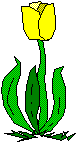 [Why the name TULIP?]