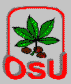 Ohio State University