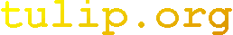  T U L I P . O R G - - - 