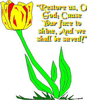 Restore us, O God; Cause Your face to shine, And we shall be saved! - - - 